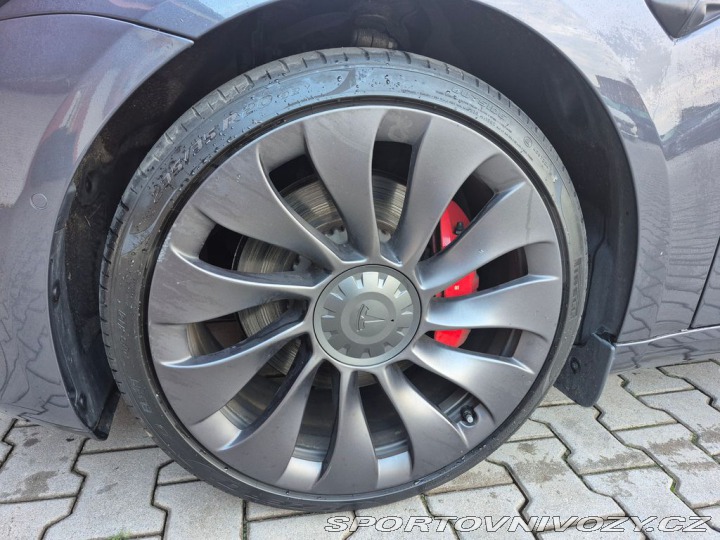 Tesla Model 3 Performance 377 EAP DPH R 2021