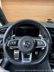 Volkswagen Golf Golf 7.5 gti performance 2019