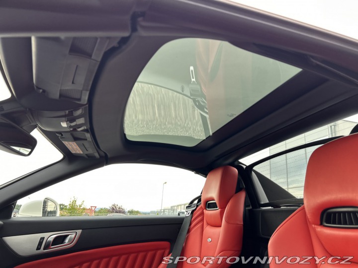 Mercedes-Benz SLK 250 Roadster AMG designo 2013