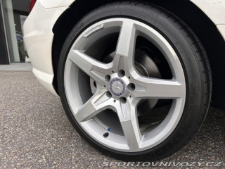 Mercedes-Benz SLK 250 Roadster AMG designo 2013