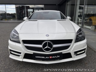 Mercedes-Benz SLK 250 Roadster AMG designo 2013