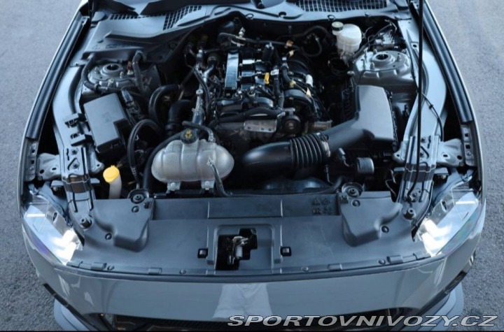 Ford Mustang 2.3 / Shelby GT500 Optik 2022