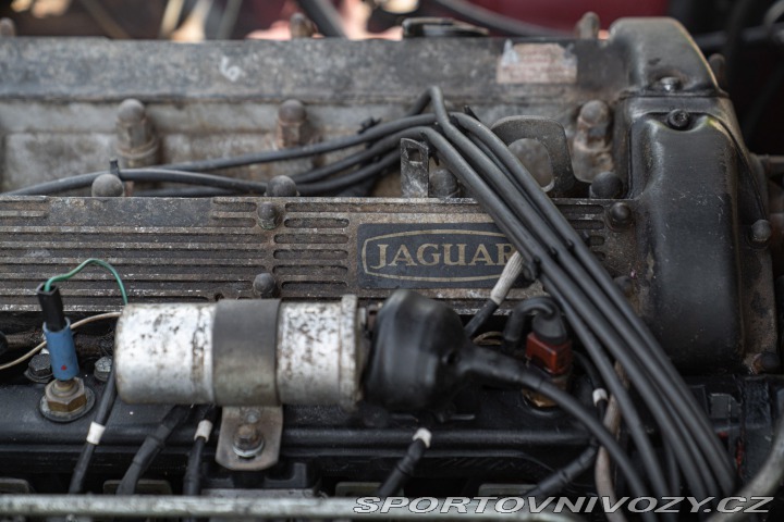 Jaguar XJ XJ6 4.2 MANUALE 1981