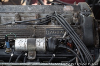 Jaguar XJ XJ6 4.2 MANUALE 1981
