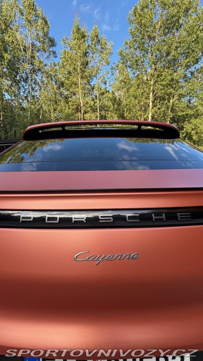 Porsche Cayenne Coupé Platinum Edition 2022