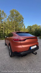 Porsche Cayenne Coupé Platinum Edition 2022