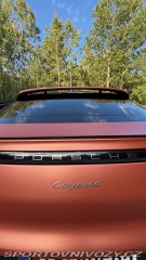 Porsche Cayenne Coupé Platinum Edition 2022