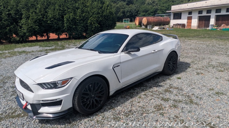 Ford Mustang GT 5.0 V8 - Shelby packet