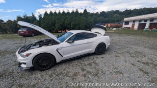 Ford Mustang GT 5.0 V8 - Shelby packet 2017