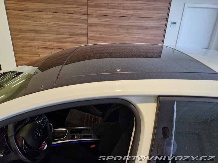 Renault Mégane R.S. Trophy po servise!!! 2020