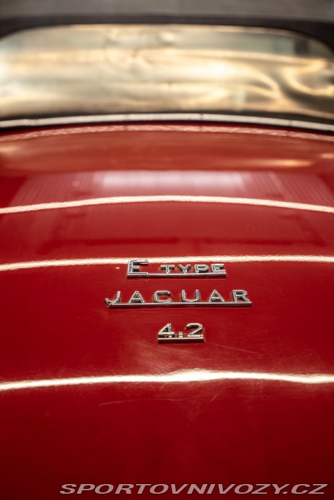Jaguar E-Type  1800