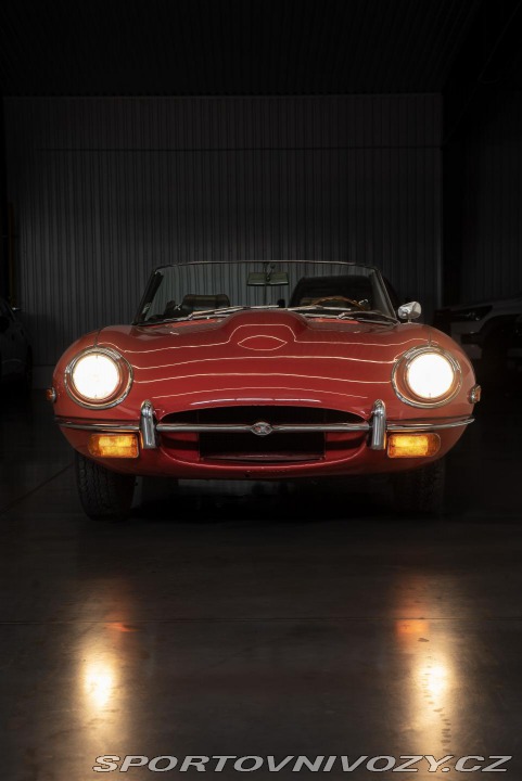 Jaguar E-Type  1800