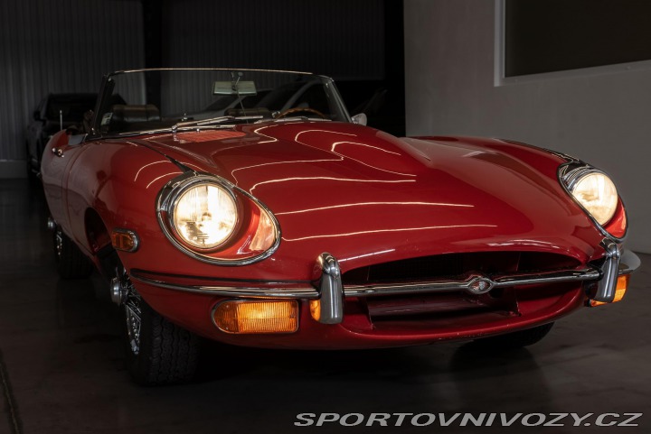 Jaguar E-Type  1800