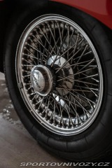 Jaguar E-Type  1800
