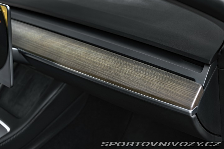 Tesla Model Y Long Range Dual Motor 2023
