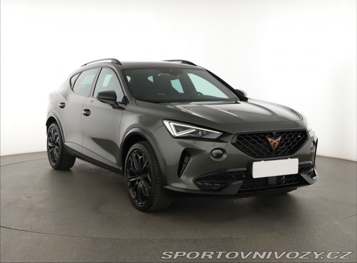 Cupra Formentor 2.0 TSI VZ 2023
