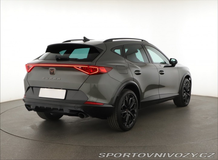 Cupra Formentor 2.0 TSI VZ 2023