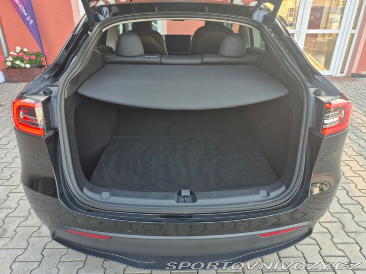 Tesla Model Y Long Range Performance 39 2022