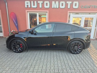 Tesla Model Y Long Range Performance 39 2022
