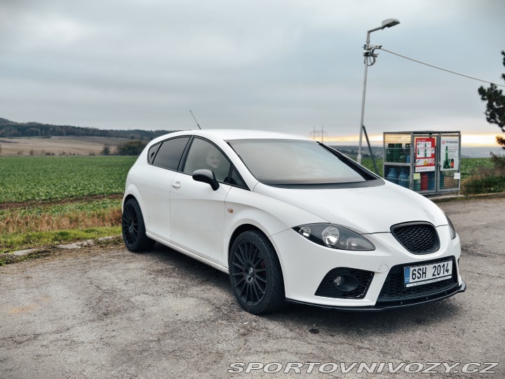 Seat Leon Cupra 2007