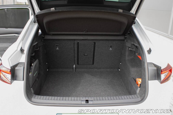 Škoda Enyaq Coupé iV 4x4 RS 2025 - DCC/PPF 2025