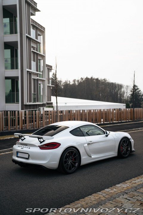 Porsche Cayman GT4 Clubsport, Approved 2016
