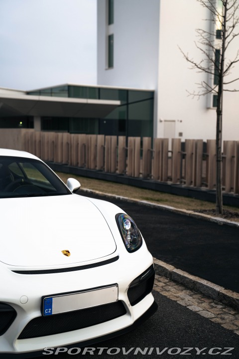 Porsche Cayman GT4 Clubsport, Approved 2016