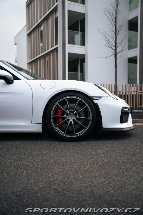 Porsche Cayman GT4 Clubsport, Approved 2016