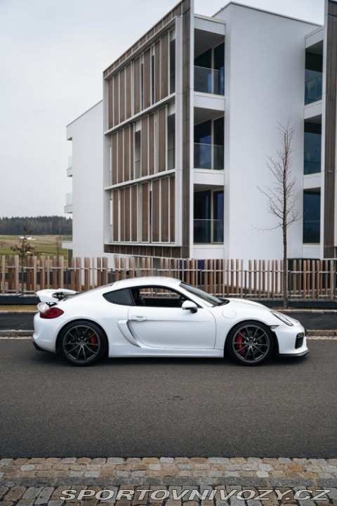 Porsche Cayman GT4 Clubsport, Approved 2016