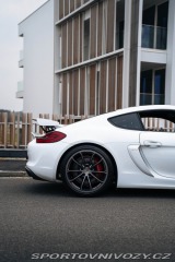 Porsche Cayman GT4 Clubsport, Approved 2016