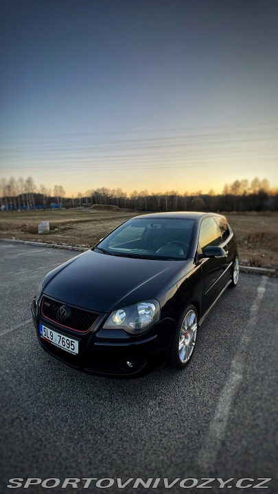 Volkswagen Polo GTI 9N 2007