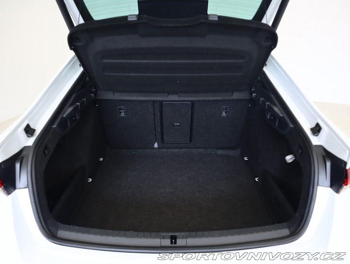 Škoda Octavia RS RS RS 2.0 TDI 4x4 2023