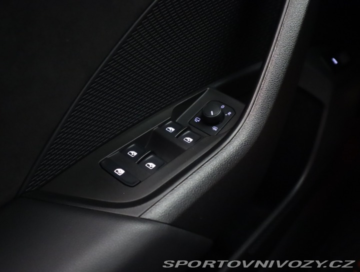 Škoda Octavia RS RS RS 2.0 TDI 4x4 2023