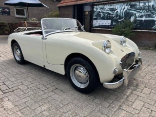   Austin Healey Sprite