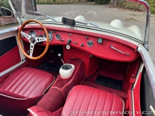 Ostatní značky Ostatní modely Austin Healey Sprite 1958