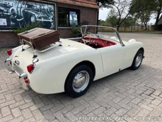 Ostatní značky Ostatní modely Austin Healey Sprite 1958