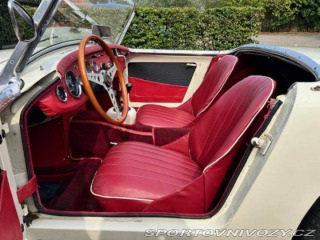Ostatní značky Ostatní modely Austin Healey Sprite 1958