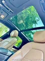 Porsche Cayenne E-HYBRID 9YA / EF22 2019