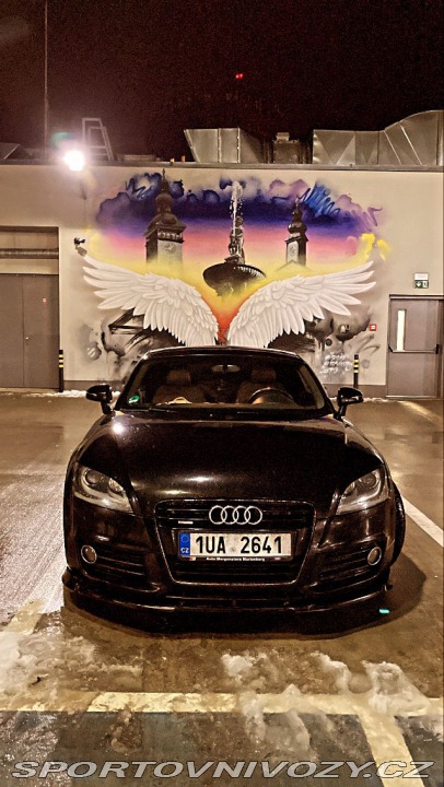 Audi TT 8J 2010