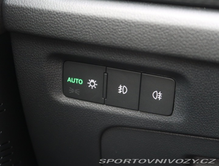 Škoda Octavia RS RS RS 2.0 TSI 2024