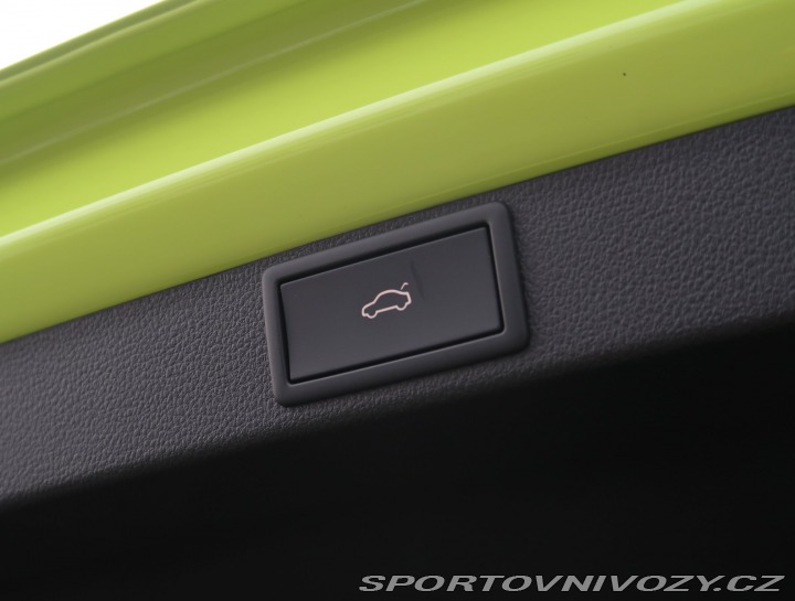 Škoda Octavia RS RS RS 2.0 TSI 2024