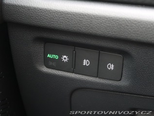 Škoda Octavia RS RS RS 2.0 TSI 2024