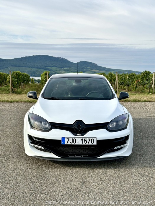 Renault Mégane RS 265 CUP