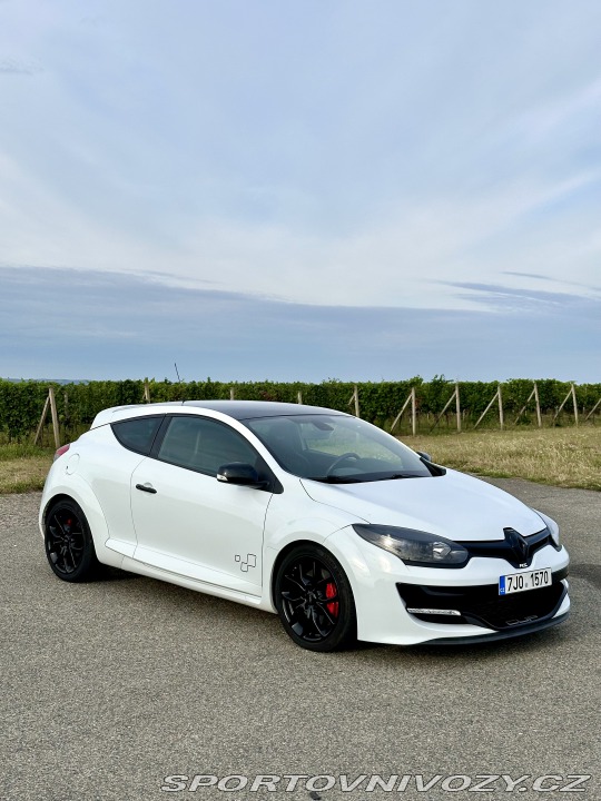 Renault Mégane RS 265 CUP 2014