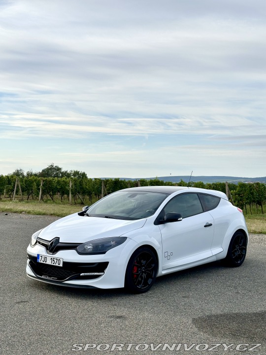 Renault Mégane RS 265 CUP 2014