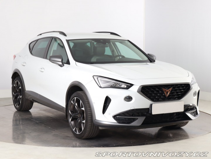 Cupra Formentor 2.0 TSI 4Drive 2023
