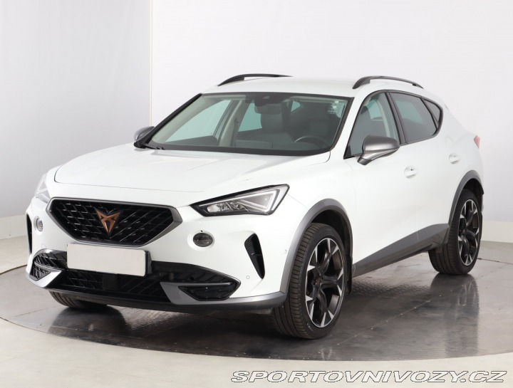 Cupra Formentor 2.0 TSI 4Drive 2023