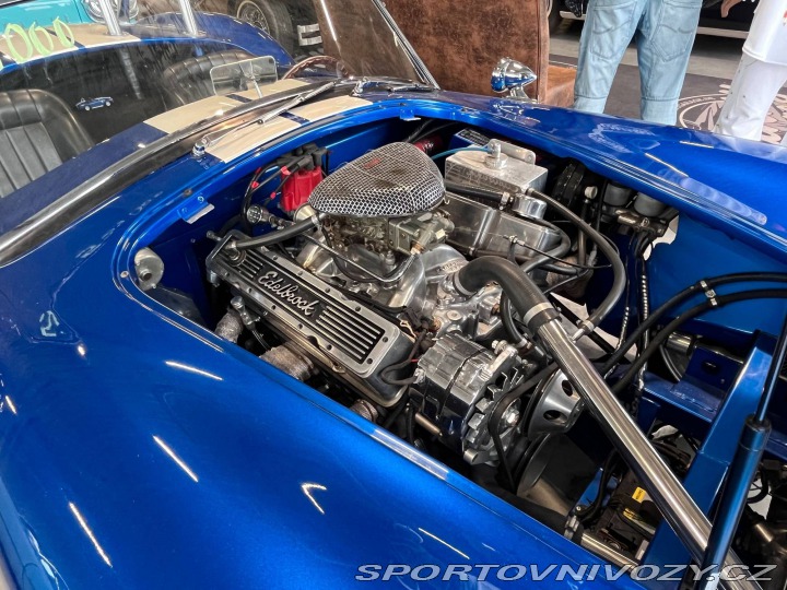 Ostatní značky Ostatní modely AC Cobra CSB 350 2007
