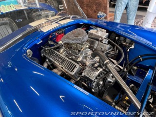 Ostatní značky Ostatní modely AC Cobra CSB 350 2007