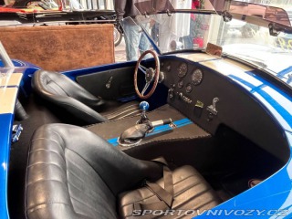 Ostatní značky Ostatní modely AC Cobra CSB 350 2007